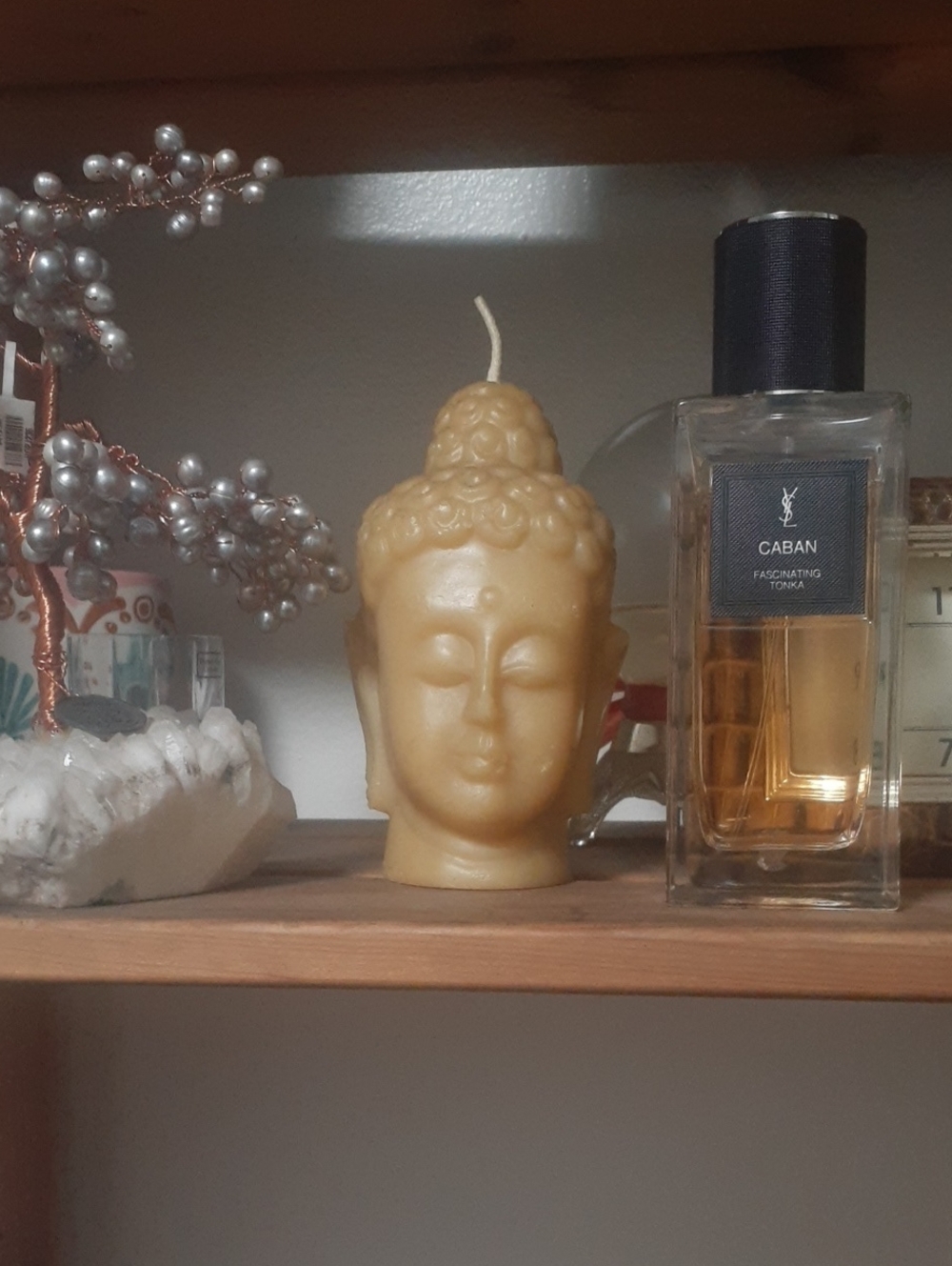 New YSL CABAN FASINATING TONKA